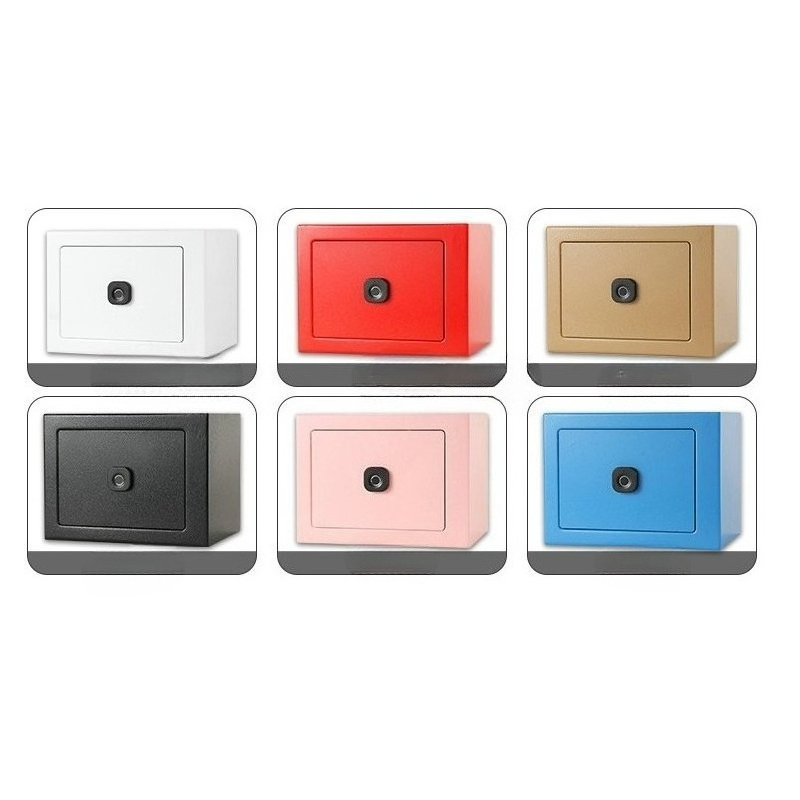 Home Security Box - Caja de Seguridad Inteligente Modelo 17FO-DT,
